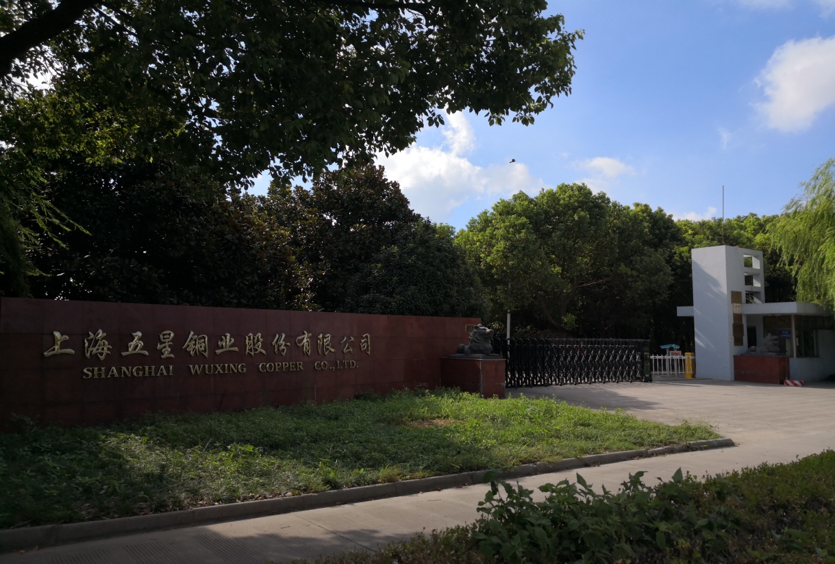 国际铜业协会主席：铜替代品成行业最大挑战，智利需加快许可审批