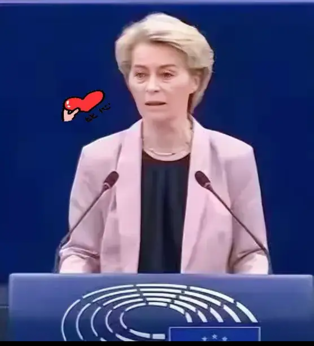 欧盟4月10日起全面实施出入境系统（EES）